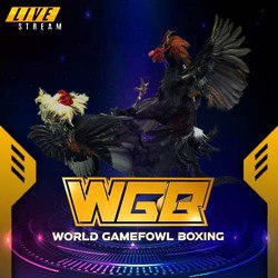 wgb